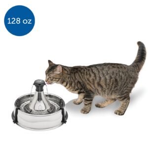 import placeholder for 2220